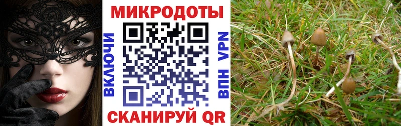 Галлюциногенные грибы прущие грибы  Купить где  Лянтор 